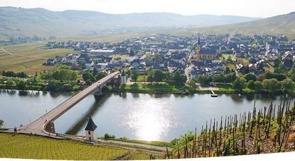 Galerie Riesling Hotel Trittenheim Kültér fotó