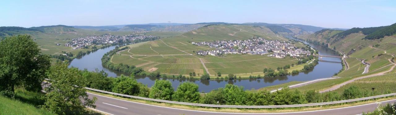 Galerie Riesling Hotel Trittenheim Kültér fotó